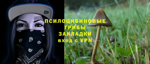 СК Алексеевка